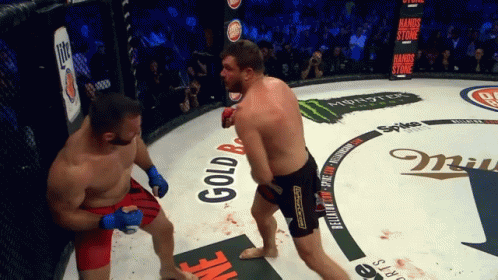 Knock Out Punch GIF - Bellator MMA Mitrione - Discover & Share GIFs