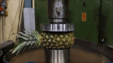 Sexy Squirt GIF - Sexy Squirt Pineapple GIFs