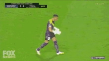 fox goal