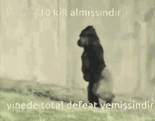 Total Defeat R6 GIF - Total Defeat R6 GIFs