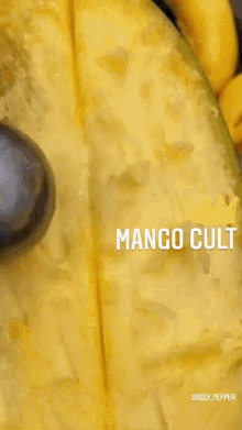 Mango Cult GIF - Mango Cult Aidansarmy GIFs