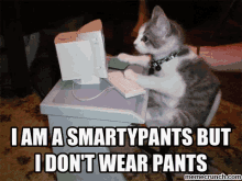 smarty-pants.gif