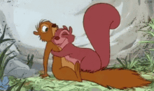 Squirrel Hug GIF - Squirrel Hug Clingy GIFs