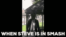 Steve GIF - Steve GIFs