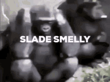 Sladesmelly Lukeafk GIF - Sladesmelly Slade Lukeafk GIFs
