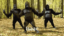 Isaac Monkey GIF - Isaac Monkey GIFs