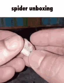 Spider Unboxing GIF - Spider Unboxing GIFs
