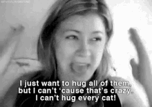 cant hug every cat i love cats cats crazy