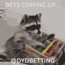 Dydbetting Picks GIF - Dydbetting Picks Betting GIFs
