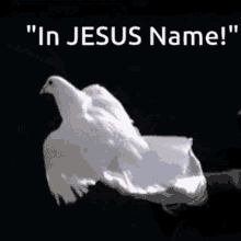 In Jesus Name GIF - In Jesus Name GIFs