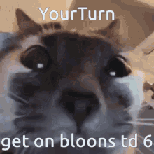 Get On Bloons Td6 GIF - Get On Bloons Td6 GIFs