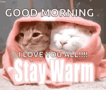 Stay Warm GIF - Stay Warm Kittens GIFs