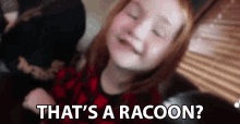 Thats A Racoon Is It GIF - Thats A Racoon Is It Racoon GIFs
