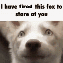 Fox Hired GIF - Fox Hired Fired GIFs