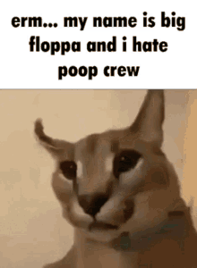 Big Floppa Hates Poop Crew GIF - Big Floppa Hates Poop Crew Floppa Hates Poop Crew Big Floppa GIFs