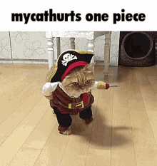 Mycathurts Pirate GIF - Mycathurts Pirate One Piece GIFs