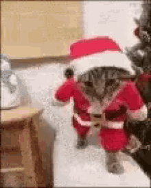 Santa Claus Christmas GIF - Santa Claus Christmas Is GIFs