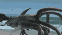 Sharktopus Whalewolf GIF - Sharktopus Whalewolf Weird GIFs