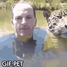 Gifpet Leopard GIF - Gifpet Leopard Pet GIFs