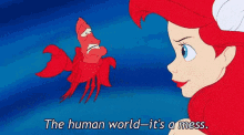 the little mermaid ariel the human world its a mess mess