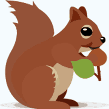 Skype Squirrel GIF - Skype Squirrel Nut GIFs