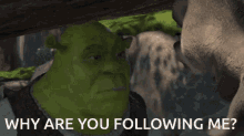 Shrek Why Are You Following Me GIF - Shrek Why Are You Following Me Donkey GIFs