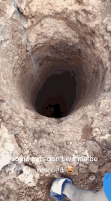 hole rescued