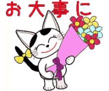 おだいじに　猫　ねこ　ネコ GIF - Get Well Soon Japanese Cat GIFs