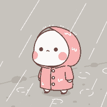 bunny cute rain stare waiting
