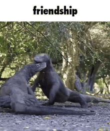 what friendship