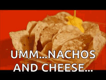 Nachos Cheese GIF - Nachos Cheese Nacho Cheese GIFs