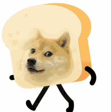Doge Walking Doge Bread GIF - Doge Walking Doge Bread Dogecoin Bread GIFs