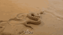 เลื้อย งู GIF - Crawl Crawling Slither GIFs