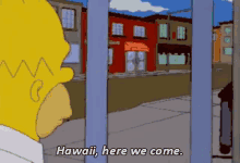 here we come hawaii vacation on my way on the way here we come hawaii vacation on my way on the way