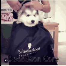 Does Man GIF - Does Man Care GIFs