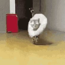 No Maam What It Do Baby GIF - No Maam What It Do Baby Fashion Show GIFs