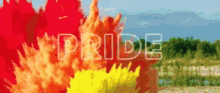 pride month colors pride rainbow
