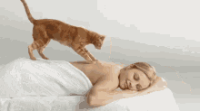 Kitty Massage Anyone? GIF - Massage Cat Funny GIFs