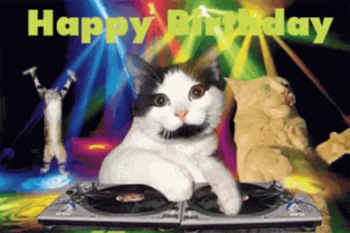 cat-birthday-dj.gif