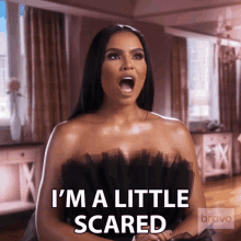 Im A Little Scared Real Housewives Of Potomac GIF - Im A Little Scared Real Housewives Of Potomac Im Kinda Scared GIFs