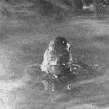 from creature