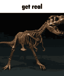 Get Real Spin O Saurus GIF - Get Real Spin O Saurus Dinosaur GIFs