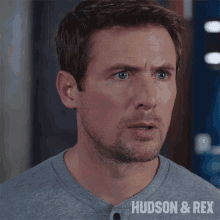 Hes The Victim Charlie Hudson GIF - Hes The Victim Charlie Hudson Hudson And Rex GIFs
