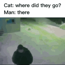 Cat Man GIF - Cat Man Meme GIFs