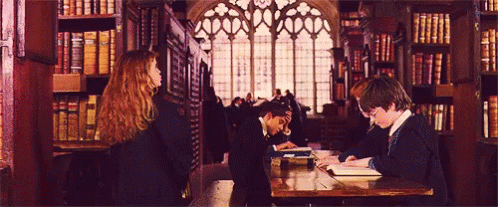 biblioteka Harry-potter
