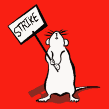 Strike Rat GIF - Strike Rat Scabby GIFs