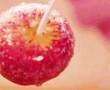 candy apple treat food yum delicious