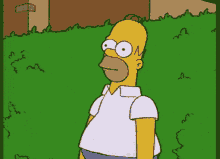 Homer Disappears Into A Hedge GIF - Homer Simpson GIFs