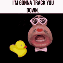 down duck