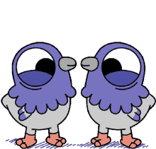 piegon piegon